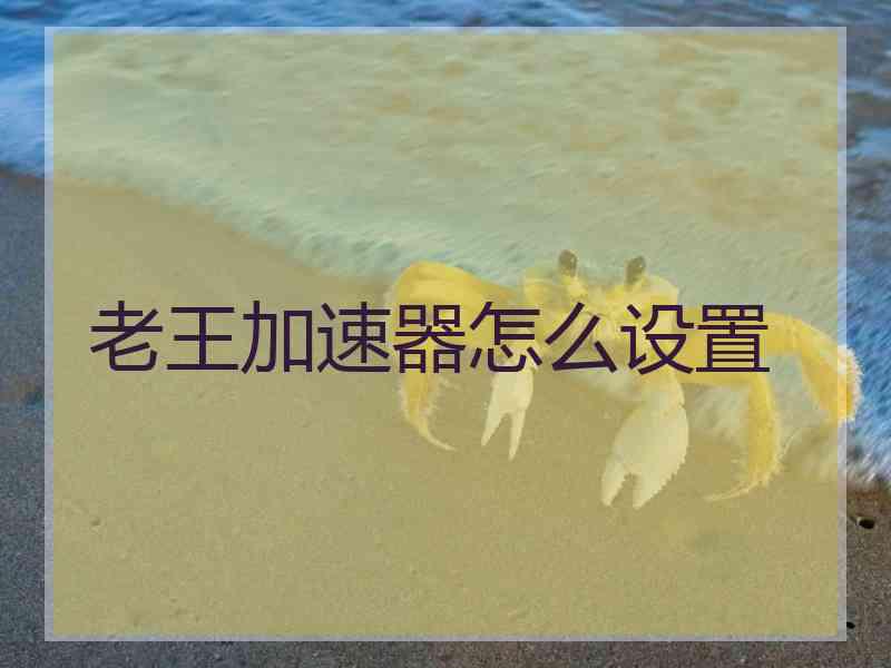 老王加速器怎么设置