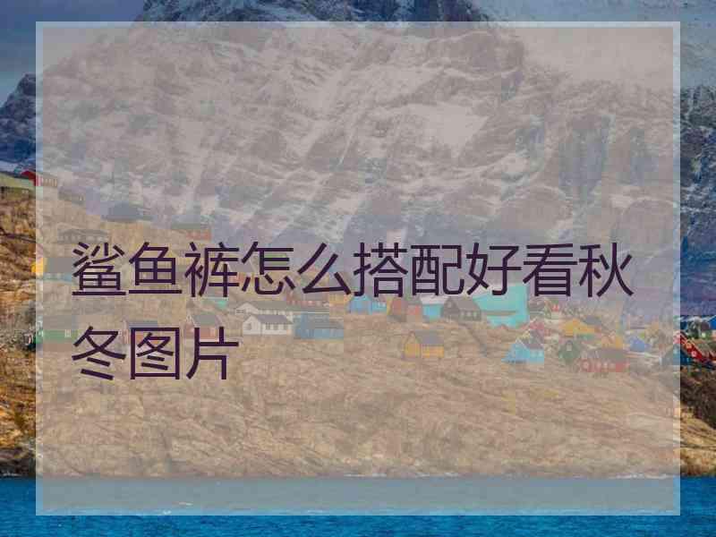 鲨鱼裤怎么搭配好看秋冬图片