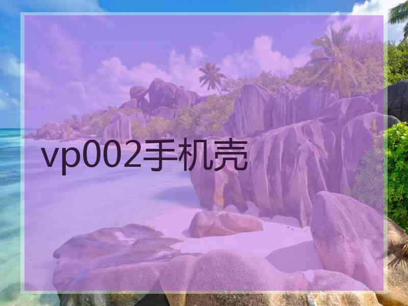 vp002手机壳