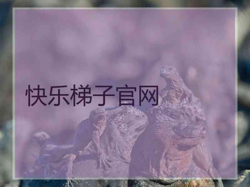 快乐梯子官网