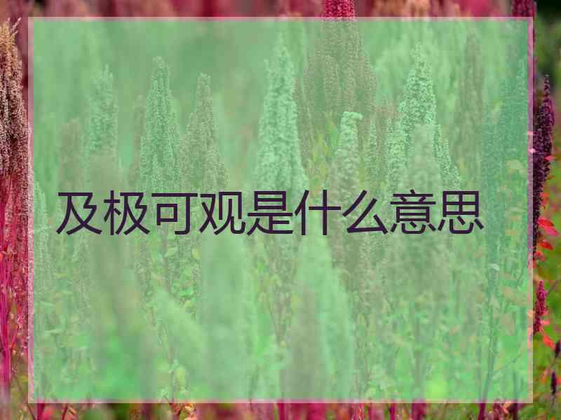 及极可观是什么意思