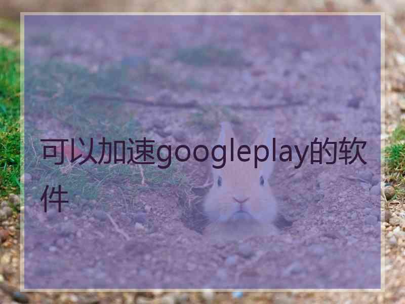 可以加速googleplay的软件