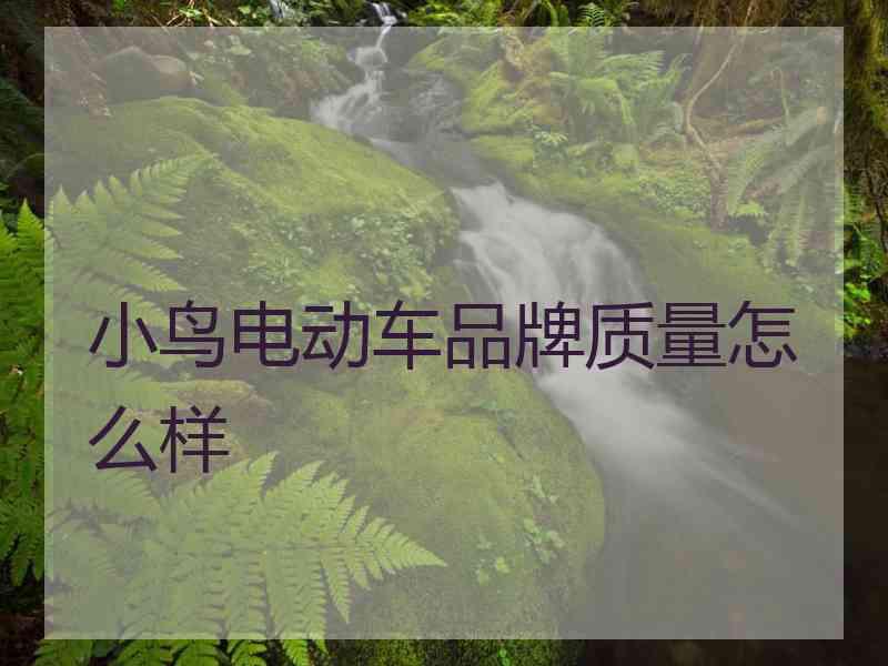 小鸟电动车品牌质量怎么样