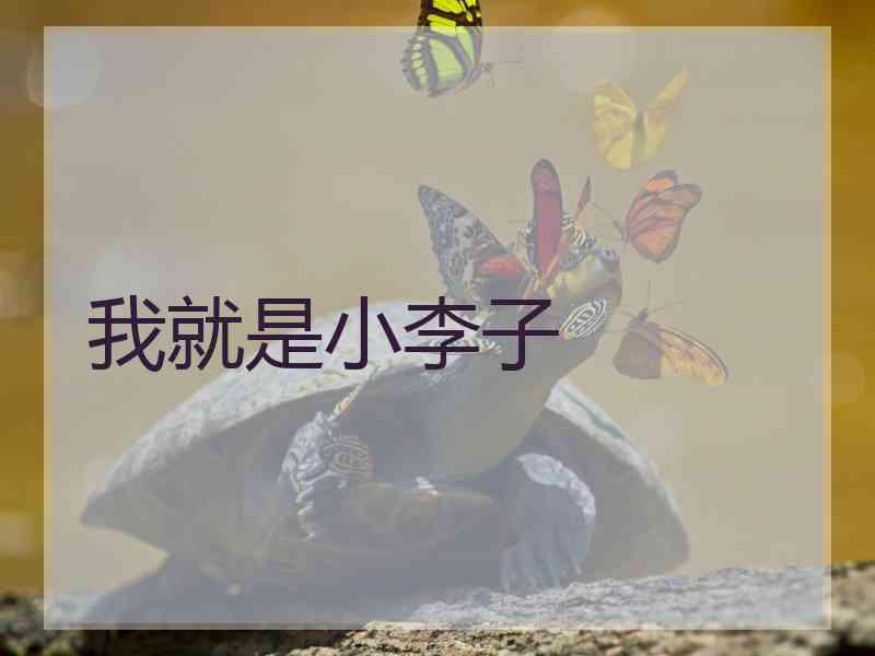 我就是小李子