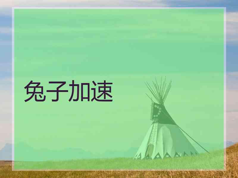 兔子加速