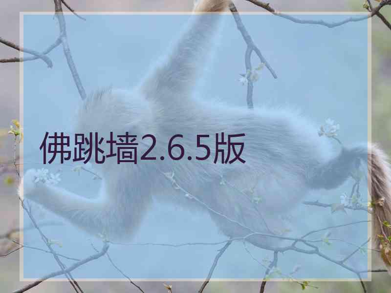 佛跳墙2.6.5版