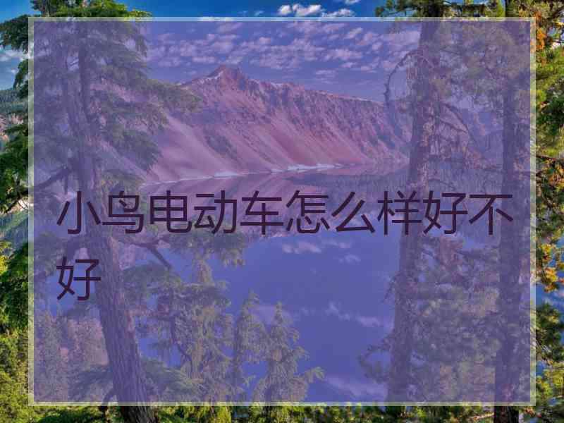小鸟电动车怎么样好不好