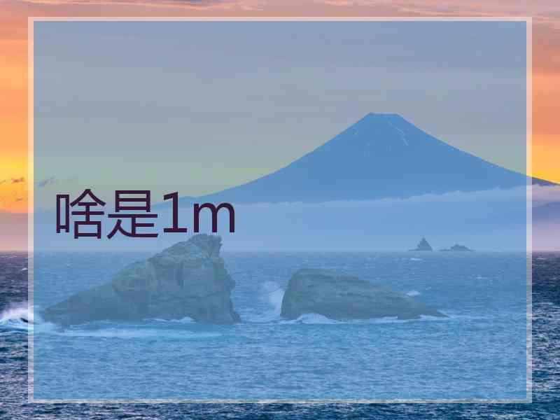 啥是1m