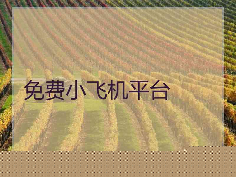 免费小飞机平台