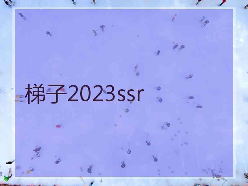 梯子2023ssr