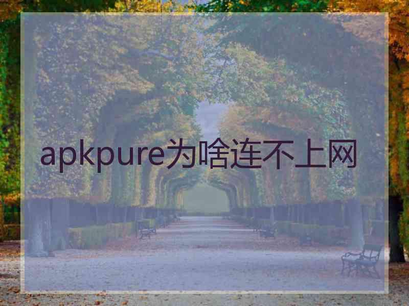 apkpure为啥连不上网