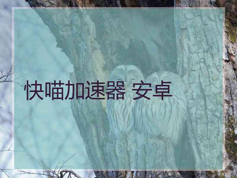 快喵加速器 安卓