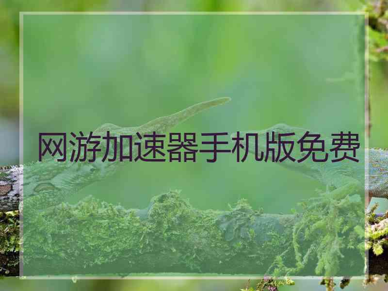 网游加速器手机版免费