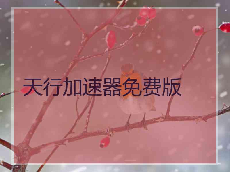天行加速器免费版
