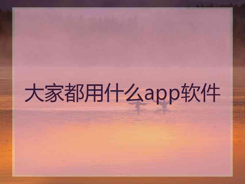大家都用什么app软件