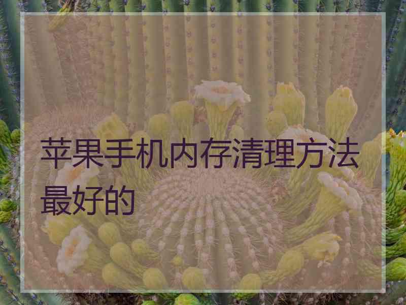 苹果手机内存清理方法最好的