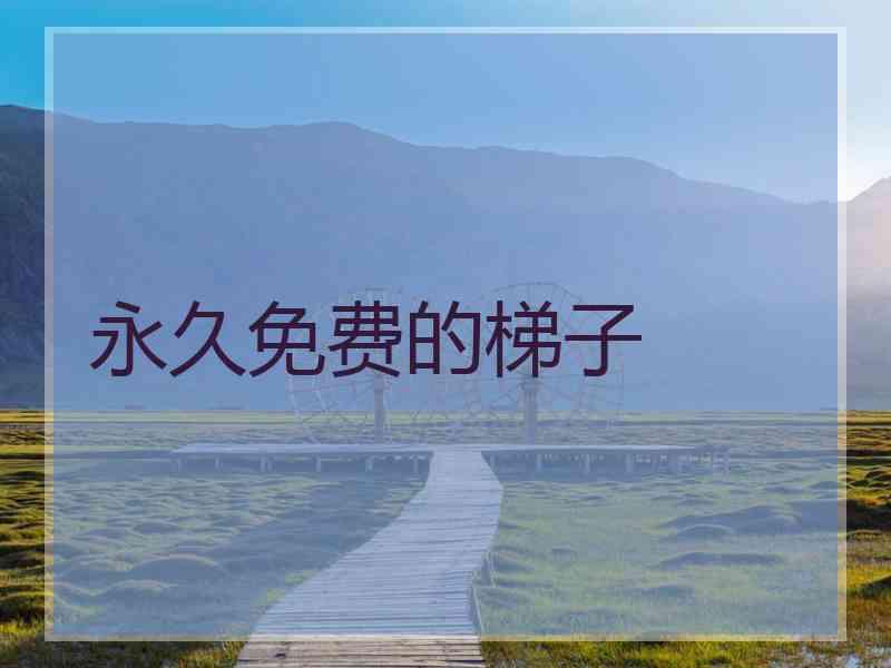 永久免费的梯子