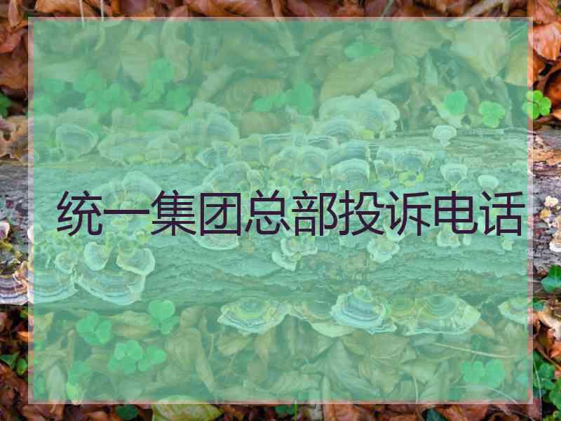 统一集团总部投诉电话