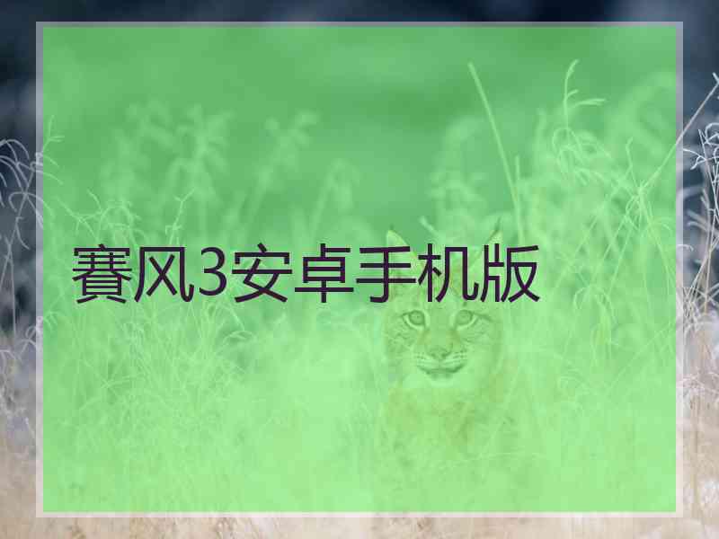 賽风3安卓手机版