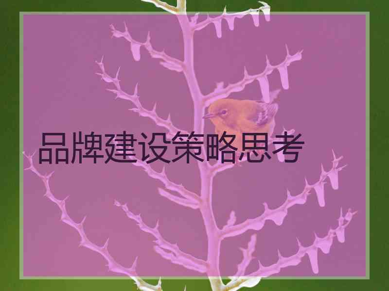 品牌建设策略思考