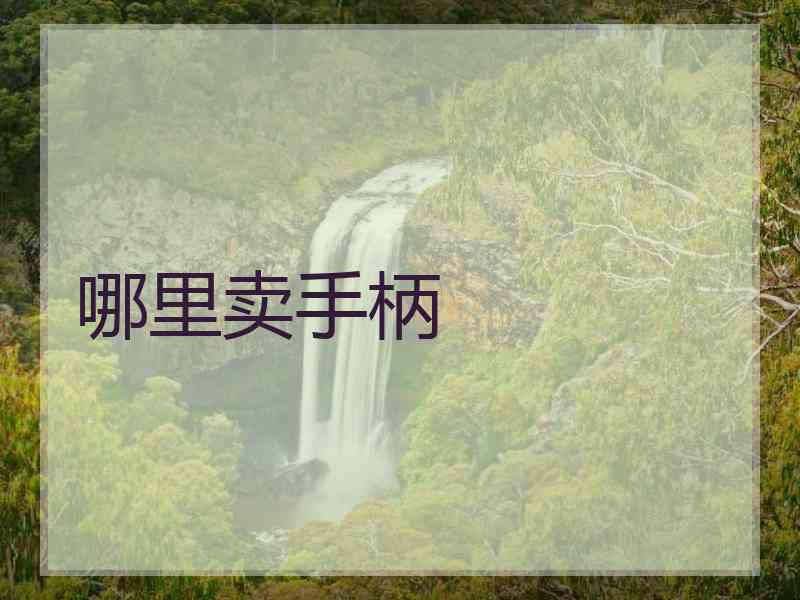 哪里卖手柄