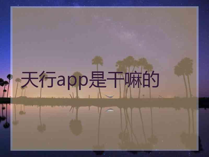 天行app是干嘛的