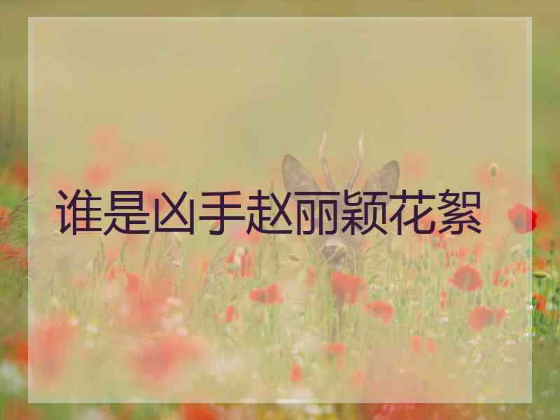 谁是凶手赵丽颖花絮