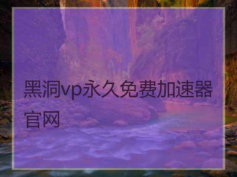 黑洞vp永久免费加速器官网