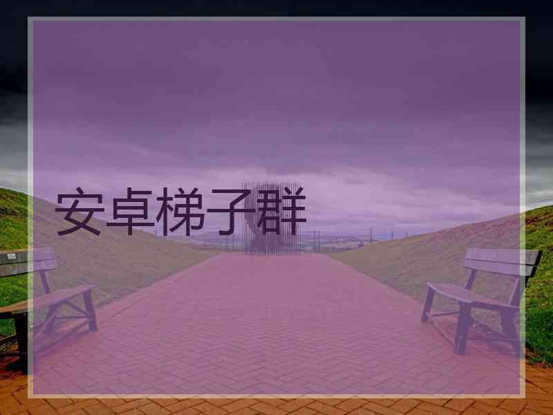 安卓梯子群