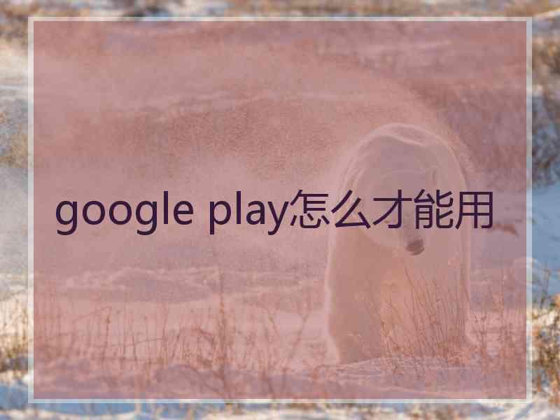 google play怎么才能用