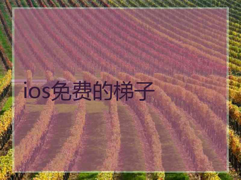 ios免费的梯子