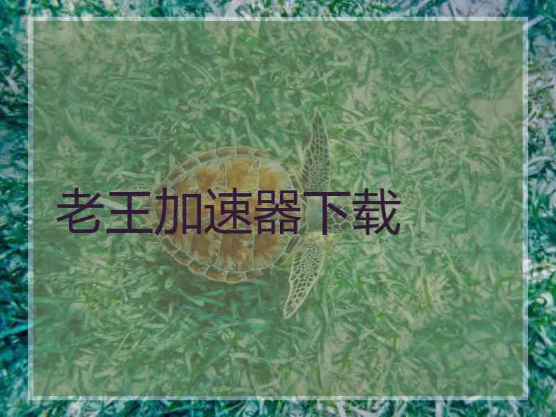 老王加速器下载