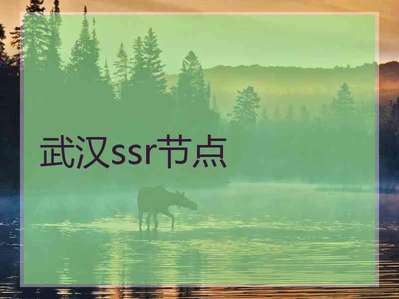 武汉ssr节点