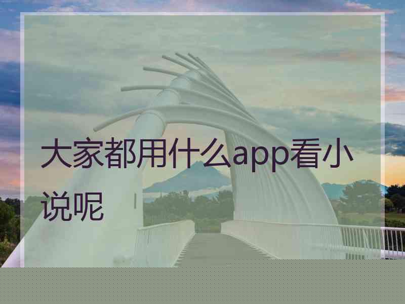 大家都用什么app看小说呢