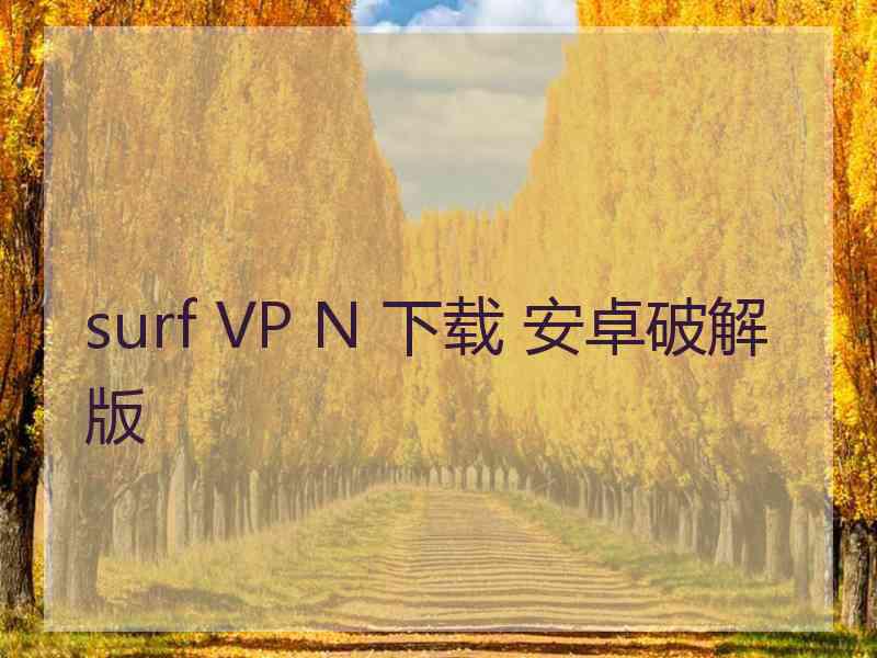 surf VP N 下载 安卓破解版