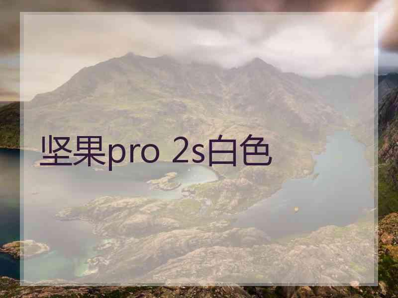 坚果pro 2s白色