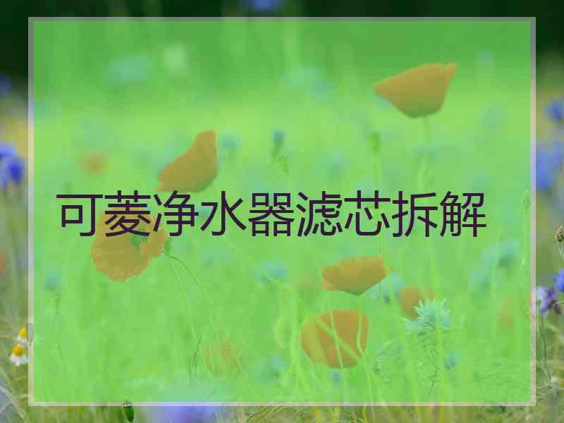 可菱净水器滤芯拆解