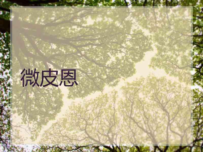 微皮恩