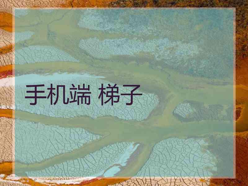 手机端 梯子