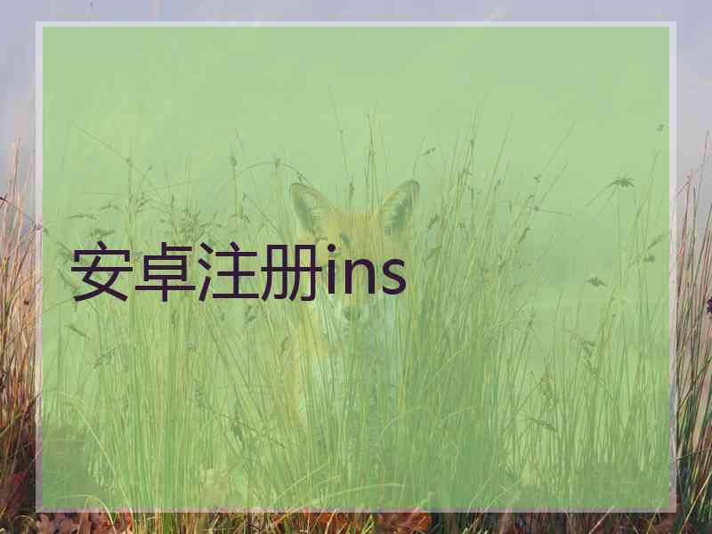 安卓注册ins