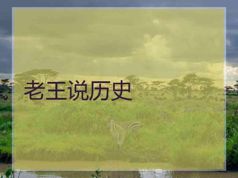 老王说历史