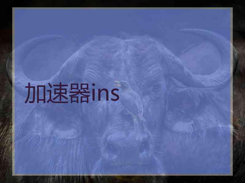 加速器ins