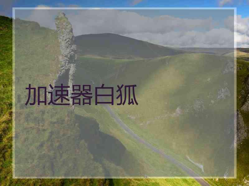 加速器白狐