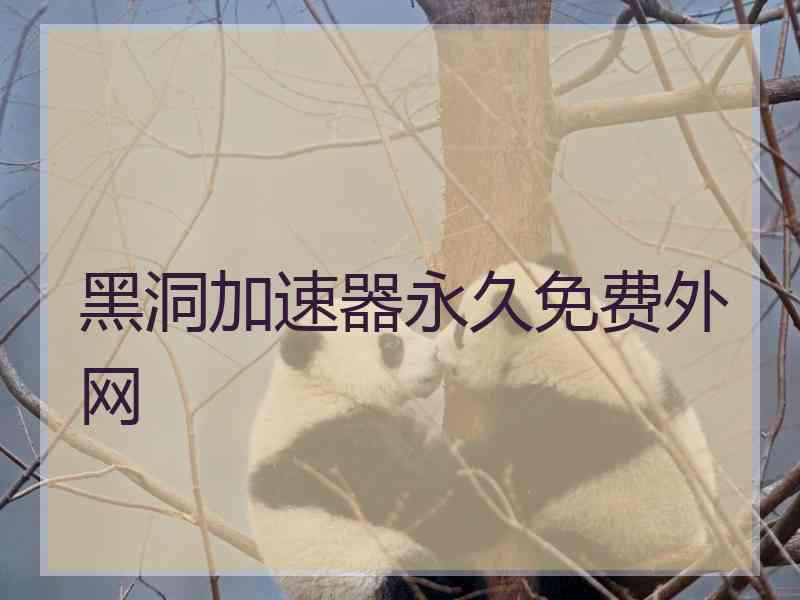 黑洞加速器永久免费外网