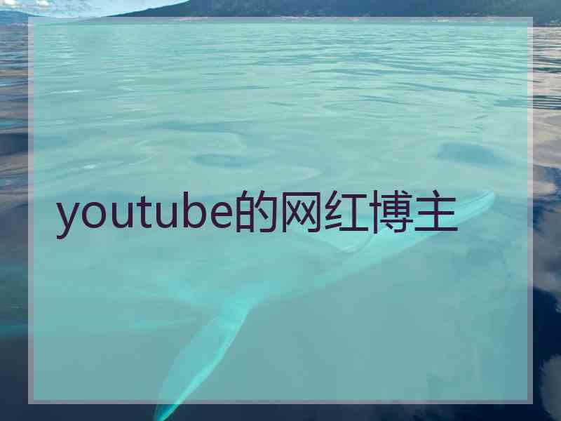 youtube的网红博主