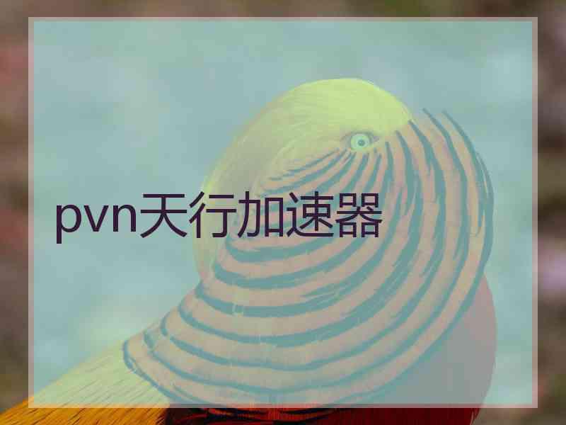 pvn天行加速器