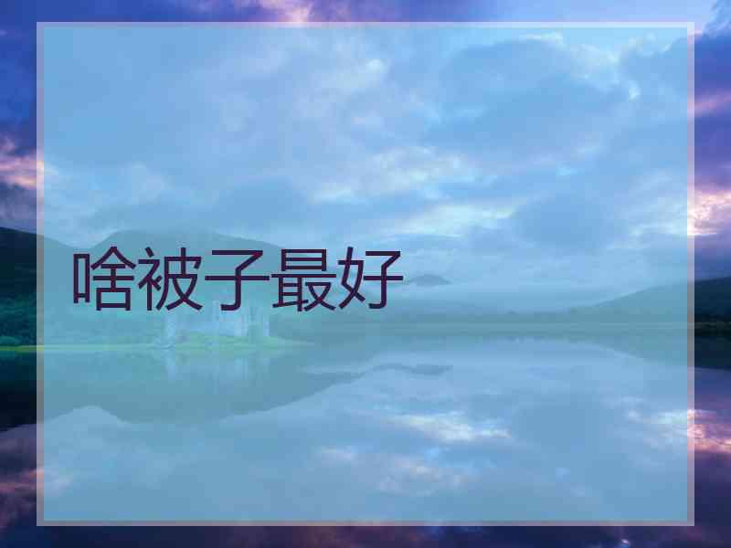 啥被子最好