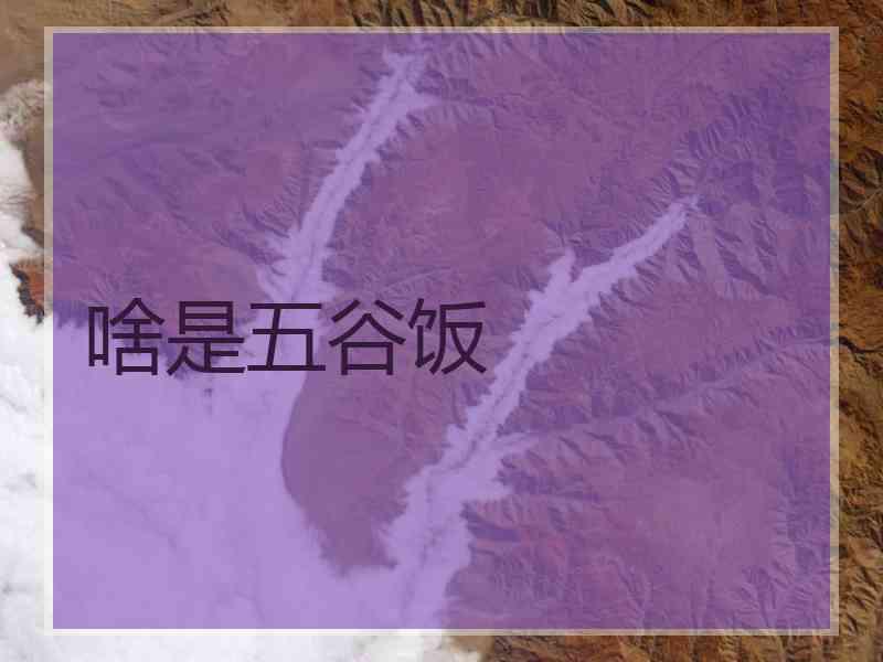 啥是五谷饭