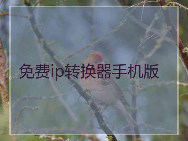 免费ip转换器手机版