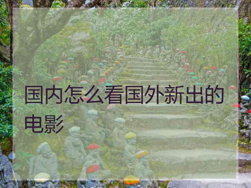 国内怎么看国外新出的电影
